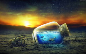 Fondo de pantalla de tortuga genial dentro de la botella — Tortuga genial Fondos de pantalla