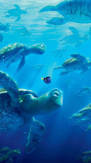 Tortuga Nadando para iPhone 6 Plus — iPhone 6 Fondos de pantalla