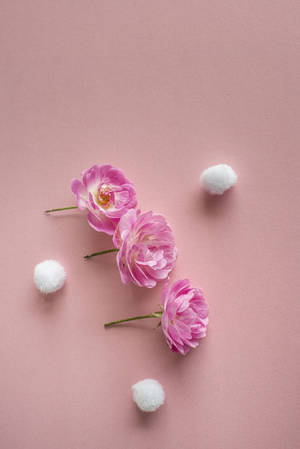 Estética Vintage Rosa — Surface Fondos de pantalla