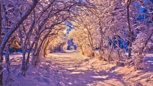 Túnel de Escena Invernal — Invierno Fondos de pantalla