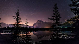 TV 4K Lago junto al bosque de noche
