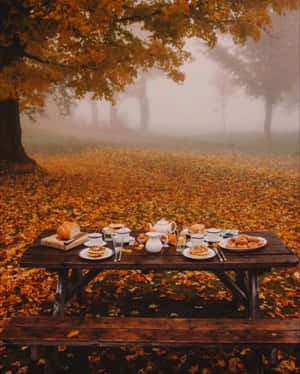 Imágenes de estética otoñal — Estética otoño Fondos de pantalla
