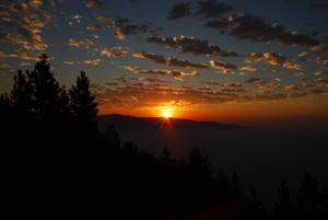 Fondo de pantalla de amanecer con árboles, montañas y horizonte