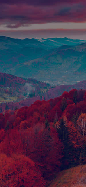 Árbol Rojo — Galaxia A18 Fondos de pantalla