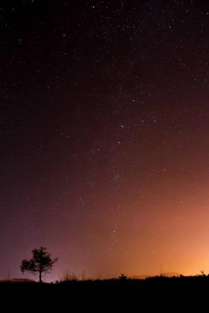 Árbol solitario bajo un cielo estrellado fondo de pantalla iPhone