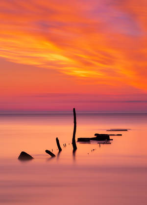 Océano con horizonte naranja y rosa durante el atardecer y palos flotando.