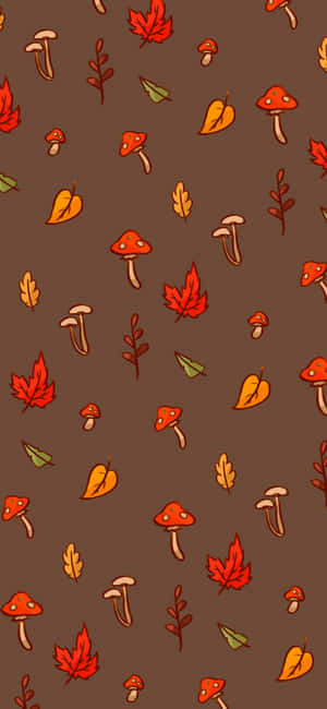 Bronceado — Moto G67 Fondos de pantalla