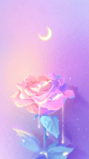 Fondo morado lindo — Lindo morado Fondos de pantalla