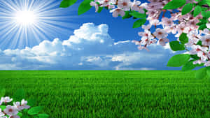 Fondo Primaveral 720p
