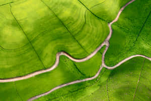 Fondo de naturaleza verde — MacBook Air 15 Fondos de pantalla