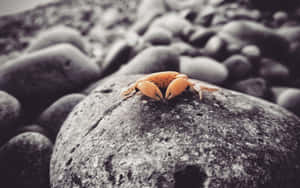 2880x1800 — 2880x1800 Fondos de pantalla