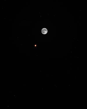 Luna llena en un cielo oscuro de medianoche. Vista de la luna desde abajo. Luz de luna brillante.