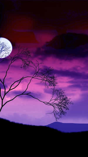 imágenes de luna llena