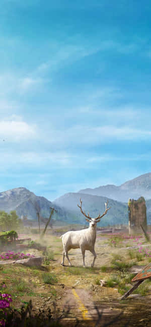 Fondo de Far Cry 5 para Iphone Xs Max — Huawei Mate 80 Pro Fondos de pantalla
