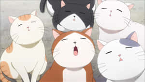 Imágenes de gatos anime — Gato Lindo Fondos de pantalla