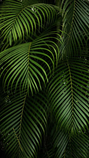 Fondo estético para iPad — Fondo de pantalla aesthetic iPad Fondos de pantalla