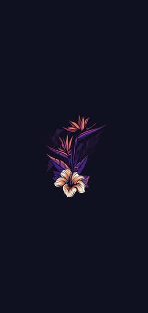 Un fondo negro con una flor púrpura — OnePlus 15T Fondos de pantalla