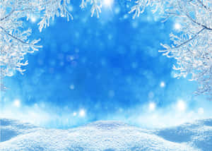 Fondo de Nieve Invernal — Estética de nieve Fondos de pantalla