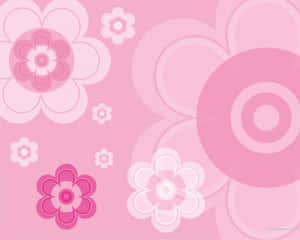 Fondo rosa lindo — Lindo rosa Fondos de pantalla