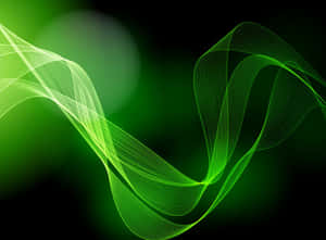 Fondo Verde Oscuro — Verde oscuro Fondos de pantalla