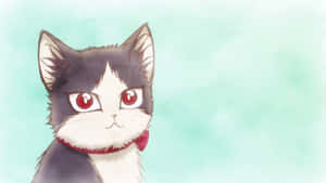 Un gato doméstico disfrutando su tiempo con un joven en una habitación — Gato anime Fondos de pantalla