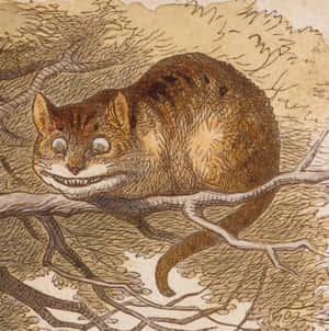 Imágenes del Gato de Cheshire — Gato de Cheshire Fondos de pantalla