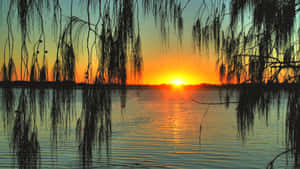 Fondo de amanecer