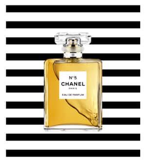 Fotos Chanel — Galaxy Z Flip 8 Fondos de pantalla