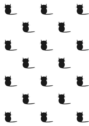 Fotos de gato negro — Gato Negro Fondos de pantalla