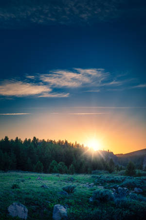 Fondo de pantalla de amanecer sobre paisaje de bosque y montaña