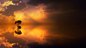 Imágenes de hermosos atardeceres — Cielo al atardecer Fondos de pantalla