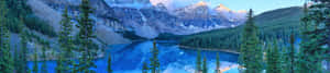 Fondo de naturaleza 4K — Naturaleza 4K Fondos de pantalla