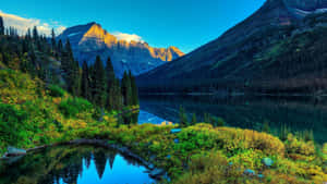 fondo HD