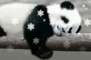Fondo de panda — Panda Fondos de pantalla
