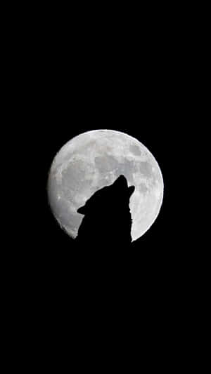 imágenes de luna llena — Luna Fondos de pantalla
