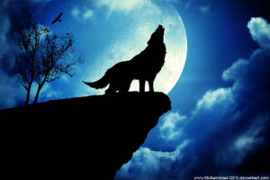 Lobo negro aullando en la cima del acantilado durante la noche de luna llena, atardecer azul.
