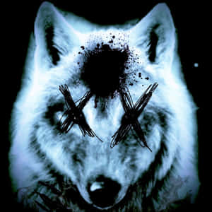 Lobo súper genial — Lobo genial Fondos de pantalla