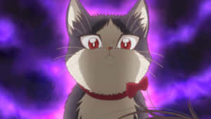 Un momento de cariño entre un joven y su gato — Gato anime Fondos de pantalla