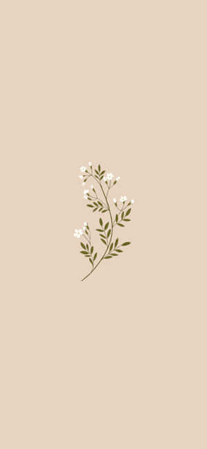 Fondo beige estético — Vivo Y600 Pro Fondos de pantalla