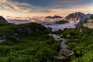 Hermoso fondo de naturaleza