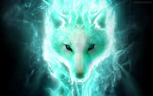 Súper Cool Wolf — Lobo Fondos de pantalla