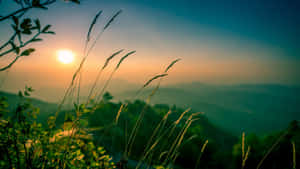 Un paisaje sereno con colinas onduladas y una puesta de sol hermosa — 1280x720 Fondos de pantalla