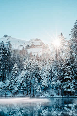 Fotos de nieve estética — Estética de nieve Fondos de pantalla