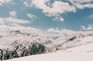 Imágenes de estética nevada — Estética de nieve Fondos de pantalla