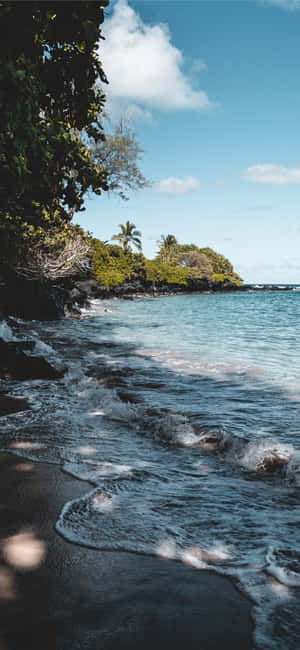 Fondo de Verano — Verano Fondos de pantalla