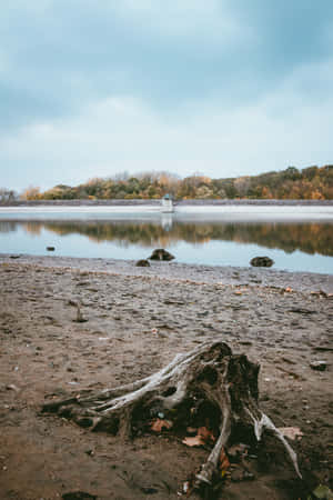 fondo de río — Vivo Pad Fondos de pantalla