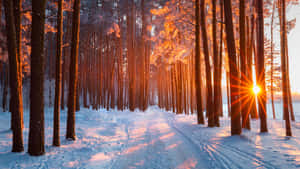 5120x2880 — 5120x2880 Fondos de pantalla