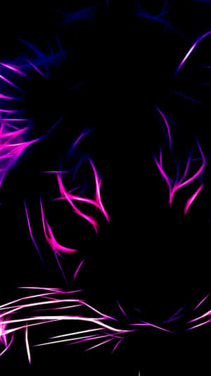 un tigre morado y rosa con fondo negro — Tigre Fondos de pantalla