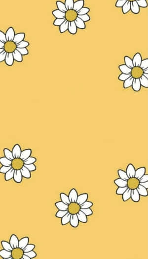 Amarillo Estético — Estético Amarillo Fondos de pantalla