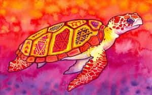 Fondo de Tortuga — Tortuga genial Fondos de pantalla